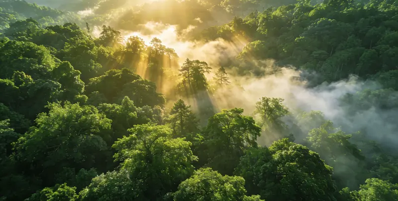 大理肺癌（EGFR T790M)突变检测图片1