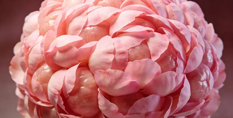 大理BRCA1/2乳腺癌卵巢癌基因检测图片1