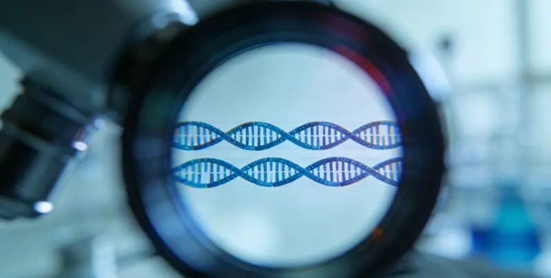 司法亲子鉴定加急图3